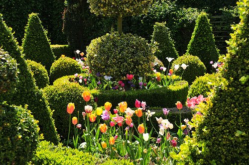 английский сад, дизайн