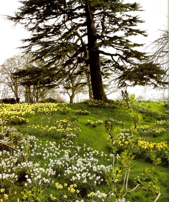 Фото весна в англии